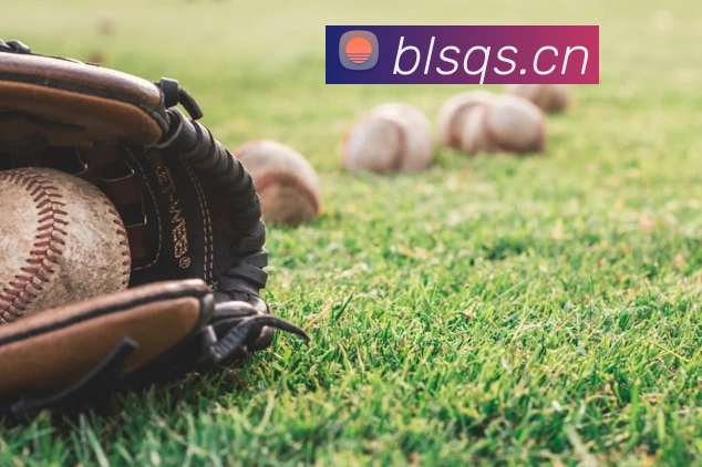 星空体育官网平台生态图